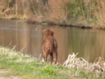 10 maanden